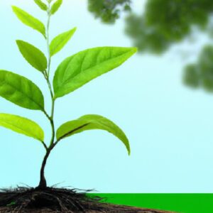 Como Plantar Salsa e Fazer Render o Ano Inteiro