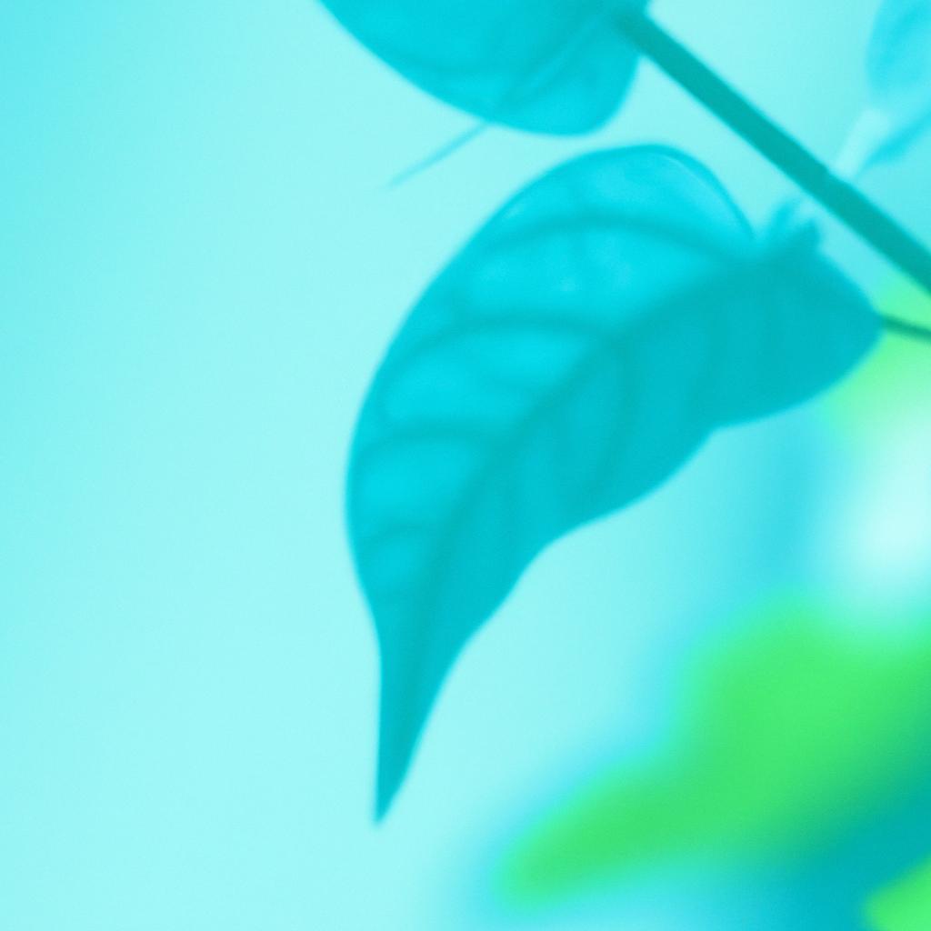 Sinais de que suas plantas estão sofrendo com muito sol